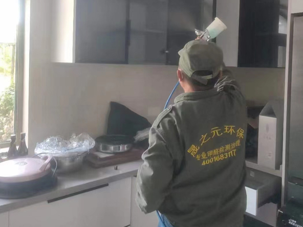 高新區海爾珺璽一期負氧離子空氣凈化除甲醛